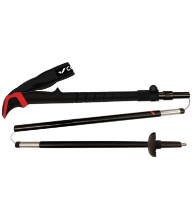 Bastoni trekking Buxus