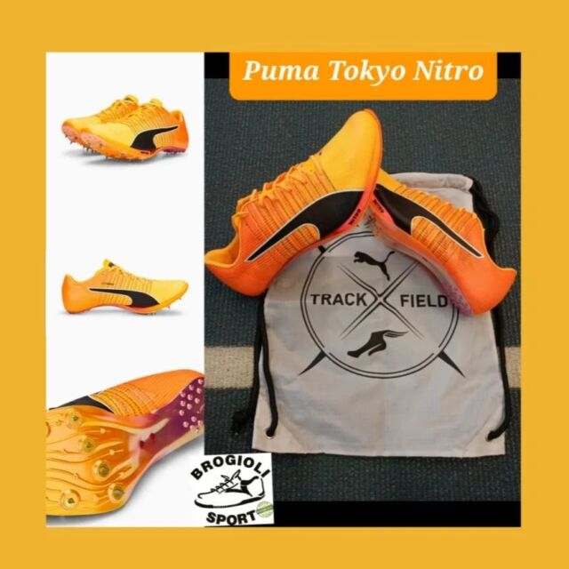Eccole 💥 Puma Tokyo Nitro e Nitro 400. Le trovi in negozio e online su www.brogiolisport.com#evospeedtokyonitro #evospeedtokyonitro400 #speed #sprint #400 #hurdles @brogioli_sport